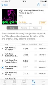 High Horse remix released